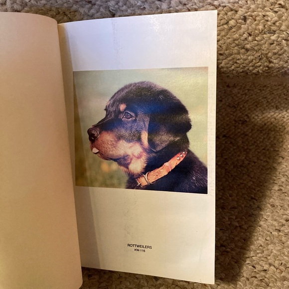 Book (Hardback):Rottweiler by Anna Nicholas - Picture 6 of 16